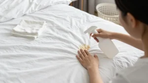 best enzyme cleaners for bedding